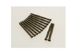 ジュピーノドア戸当り　ビス　Ｄ／Ｆ